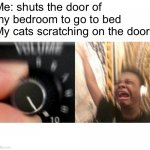 I legit stack baby gates to stop them lol | Me: shuts the door of my bedroom to go to bed
My cats scratching on the door: | image tagged in loud music,cats,sleep,annoying | made w/ Imgflip meme maker