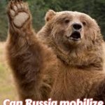 grizzly bear | Can Russia mobilize 10 million soldiers to crush Ukraine? | image tagged in grizzly bear,slavic,russo-ukrainian war,10 million russians | made w/ Imgflip meme maker