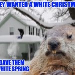 Disaster Groundhog | THEY WANTED A WHITE CHRISTMAS; I GAVE THEM A WHITE SPRING | image tagged in disaster groundhog | made w/ Imgflip meme maker
