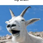 3am | Serious thing *happens*; My brain | image tagged in memes,laughing goat | made w/ Imgflip meme maker