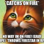 Warrior cats Firestar | *CATCHS ON FIRE*; NO WAY IM ON FIRE! (GRAY STRIPE) *THROWS FIRESTAR IN RIVER* | image tagged in warrior cats firestar | made w/ Imgflip meme maker
