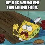 There is never too much memes | MY DOG WHENEVER I AM EATING FOOD: | image tagged in begging bob fix euw,memes | made w/ Imgflip meme maker