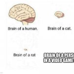 brain size comparison | BRAIN OF A PERSON IN A VIDEO GAME AD | image tagged in brain size comparison | made w/ Imgflip meme maker