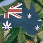 Australia Weed Buds template