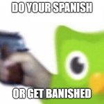 duolingo gun | DO YOUR SPANISH; OR GET BANISHED | image tagged in duolingo gun | made w/ Imgflip meme maker