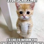 Image Title | STOP SCROLLING! I'D LIKE TO INFORM YOU THAT ITS BLACK HISTORY MONTH | image tagged in el gato | made w/ Imgflip meme maker