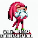 your brother after you lose at an easy level | WHEN YOU LOOSE AT THE EASIEST LEVEL | image tagged in gifs,knuckles chuckling | made w/ Imgflip video-to-gif maker