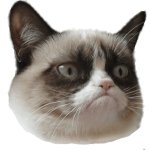 Grumpy Cat Face template