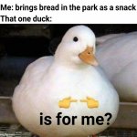 is it for me? | image tagged in is it for me | made w/ Imgflip meme maker