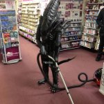 *AliEnS* | When all your regular clothes are dirty but you still need to go to work | image tagged in vacuuming alien | made w/ Imgflip meme maker
