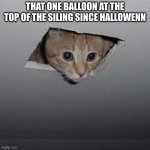 fr | THAT ONE BALLOON AT THE TOP OF THE SILING SINCE HALLOWENN | image tagged in memes,ceiling cat | made w/ Imgflip meme maker
