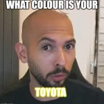 Andrew Tate No Bitches | WHAT COLOUR IS YOUR; TOYOTA | image tagged in andrew tate no bitches | made w/ Imgflip meme maker