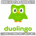 Duolingo Is Good! | DUOLIGO IS A GOOD SITE; I LEARNED GERMAN AND IT WENT WELL | image tagged in duolingo | made w/ Imgflip meme maker