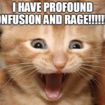 Excited Cat | I HAVE PROFOUND CONFUSION AND RAGE!!!!!!!!! | image tagged in memes,excited cat | made w/ Imgflip meme maker
