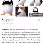 skipper
