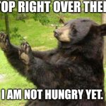 How about no bear | STOP RIGHT OVER THERE!! I AM NOT HUNGRY YET. | image tagged in how about no bear | made w/ Imgflip meme maker
