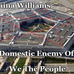 Evil Government | ---Elaina Williams; Domestic Enemy Of 
 
We The People | image tagged in evil government | made w/ Imgflip meme maker