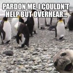 Seal Sealioning | PARDON ME, I COULDN’T 
HELP BUT OVERHEAR… | image tagged in sea lion,seal,photobomb | made w/ Imgflip meme maker