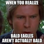 yes they actually aren't bald | WHEN YOU REALIZE; BALD EAGLES AREN'T ACTUALLY BALD | image tagged in realization | made w/ Imgflip meme maker