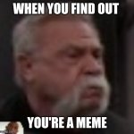 Unimpressed man | WHEN YOU FIND OUT; YOU'RE A MEME | image tagged in unimpressed man | made w/ Imgflip meme maker