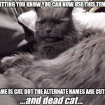 Cat | JUST LETTING YOU KNOW YOU CAN NOW USE THIS TEMPLATE! THE NAME IS CAT, BUT THE ALTERNATE NAMES ARE CUTE CAT, ...and dead cat... | image tagged in cat | made w/ Imgflip meme maker
