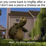 What is this place | When you come back to Imgflip after a few weeks and don’t see a piece a cheese as the top meme | image tagged in what is this place,funny memes,memes,imgflip,what | made w/ Imgflip meme maker