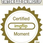 Certified imgflip moment | WHEN SOMEONE SAYS TIKTOK BAD ON IMGFLIP | image tagged in certified imgflip moment,tiktok | made w/ Imgflip meme maker