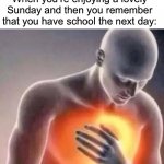 True pain tbh | When you’re enjoying a lovely Sunday and then you remember that you have school the next day: | image tagged in chest pain,memes,funny,true story,relatable memes,school | made w/ Imgflip meme maker