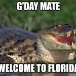 Alligator | G'DAY MATE; WELCOME TO FLORIDA | image tagged in alligator | made w/ Imgflip meme maker