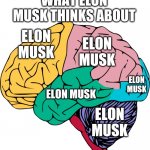 Brain Sections | WHAT ELON MUSK THINKS ABOUT; ELON MUSK; ELON MUSK; ELON MUSK; ELON MUSK; ELON MUSK | image tagged in brain sections | made w/ Imgflip meme maker