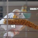 There's someone behind you... | SHARE? NO. | image tagged in stalker parrot | made w/ Imgflip meme maker