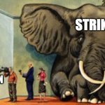 Strike elephant meme | STRIKE; WESTERN
UNION | image tagged in elephant in the room | made w/ Imgflip meme maker