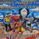 ? | SHARKS INVADED THE BEACH AND ATE EVERYONE; CANT HAVE SHIT IN CALIFORNIA 💀 | image tagged in bruh | made w/ Imgflip meme maker