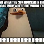 Madagascar penguin | ME WHEN THE  SUN BLOCKER IN THE CAR BLOCKS EVERYWHERE BUT WHERE THE SUN IS; AHHHHHHHHHHHHHHHHHHHHHH | image tagged in madagascar penguin | made w/ Imgflip meme maker
