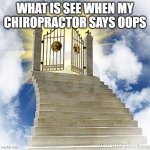 Heaven gates  | WHAT IS SEE WHEN MY CHIROPRACTOR SAYS OOPS | image tagged in heaven gates | made w/ Imgflip meme maker