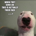 lol | WHEN THEY SEND LOL THIS IS ACTUALLY THEIR FACE; —> | image tagged in idk idc,fresh memes | made w/ Imgflip meme maker