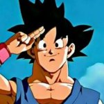 La historia de Goku ha terminado