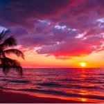 Tropical sunset