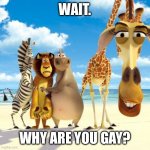 why | WAIT. WHY ARE YOU GAY? | image tagged in melman why are you | made w/ Imgflip meme maker
