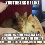 dog hostage | YOUTUBERS BE LIKE; I'M BEING HELD HOSTAGE AND THE ONLY WAY TO SET ME FREE IS TO HIT THAT LIKE A SUBSCRIBE BUTTON | image tagged in dog hostage | made w/ Imgflip meme maker
