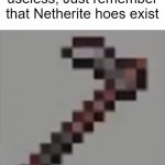 Well hoes destroy leaves faster but I don't remember the last time I was destroying leaves | If you ever feel useless, Just remember that Netherite hoes exist | image tagged in netherite hoe,netherlands,memes,minecraft,hoe,oh wow are you actually reading these tags | made w/ Imgflip meme maker