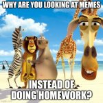 Caught you | WHY ARE YOU LOOKING AT MEMES; INSTEAD OF DOING HOMEWORK? | image tagged in melman why are you,memes | made w/ Imgflip meme maker
