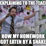 conspiracy theory | ME EXPLAINING TO THE TEACHER; HOW MY HOMEWORK GOT EATEN BY A SNAKE | image tagged in conspiracy theory | made w/ Imgflip meme maker