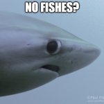 Shark u ok | NO FISHES? | image tagged in shark u ok | made w/ Imgflip meme maker