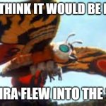 It's basicly a giant lamp | DO YOU THINK IT WOULD BE FUNNY IF; MOTHRA FLEW INTO THE SUN? | image tagged in mothra,sun | made w/ Imgflip meme maker