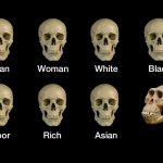 Skull idiot template