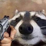 Raccoon with Gun