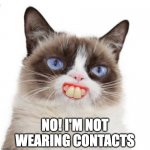 Ole Blue Eyes | NO! I'M NOT WEARING CONTACTS | image tagged in grumpy cat artificially smiles | made w/ Imgflip meme maker