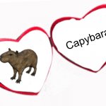 I love this | Capybara | image tagged in i love this | made w/ Imgflip meme maker