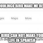 Google No Results | CAN THE DUOLINGO BIRD MAKE ME BEG FOR MY LIFE IN SPANISH; DONT ASK THAT QUESTION; THE DUOLINGO BIRD CAN NOT MAKE YOU BEG FOR YOUR
LIFE IN SPANISH | image tagged in google no results | made w/ Imgflip meme maker